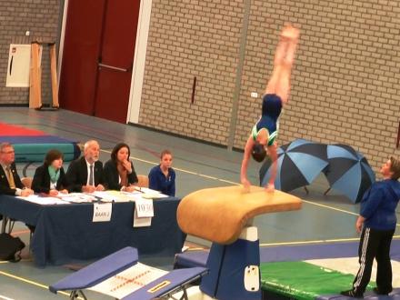 N.K. Springen 17 dec 2011