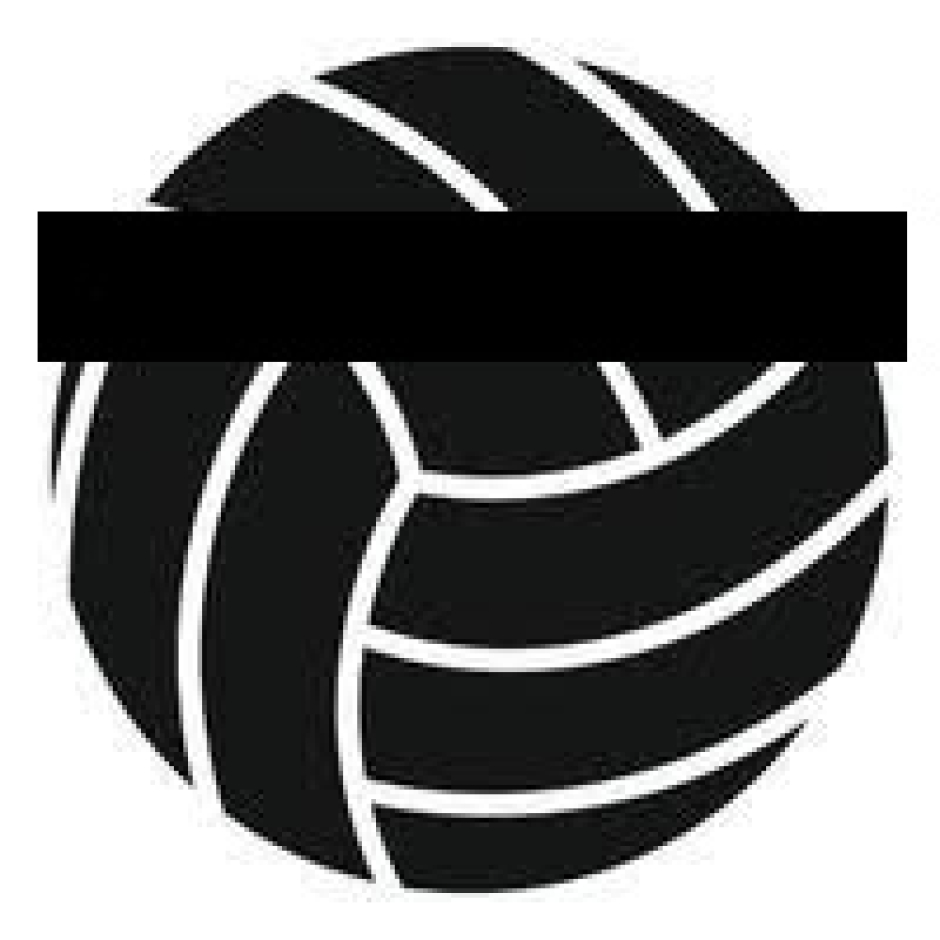 In de pdf-file het volleybaloverzicht voor het seizoen 2024/2025 (oktober 2024)